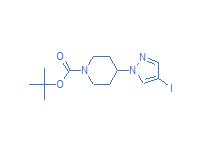 1-Piperidinecarboxylic acid, 4-(4-iodo-1H-pyrazol-1-yl)-, 1,1-dimethylethyl ester  CAS:877399-73-0